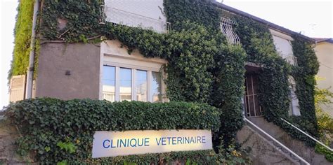 vtrinaire metz pas cher|Cliniques Vétérinaires Metz 57000